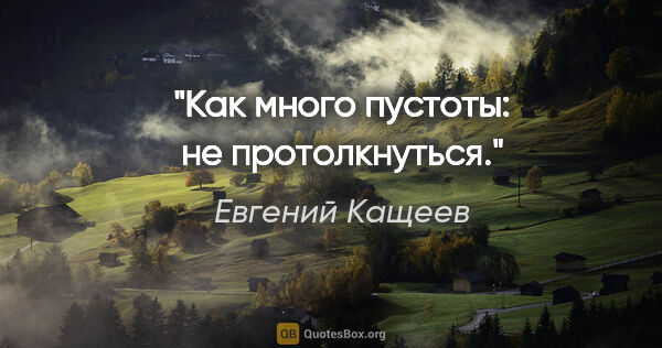 Евгений Кащеев цитата: "Как много пустоты: не протолкнуться."