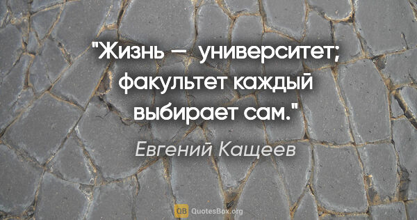 Евгений Кащеев цитата: "Жизнь —  университет; факультет каждый выбирает сам."