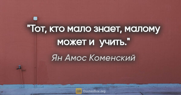Ян Амос Коменский цитата: "Тот, кто мало знает, малому может и учить."