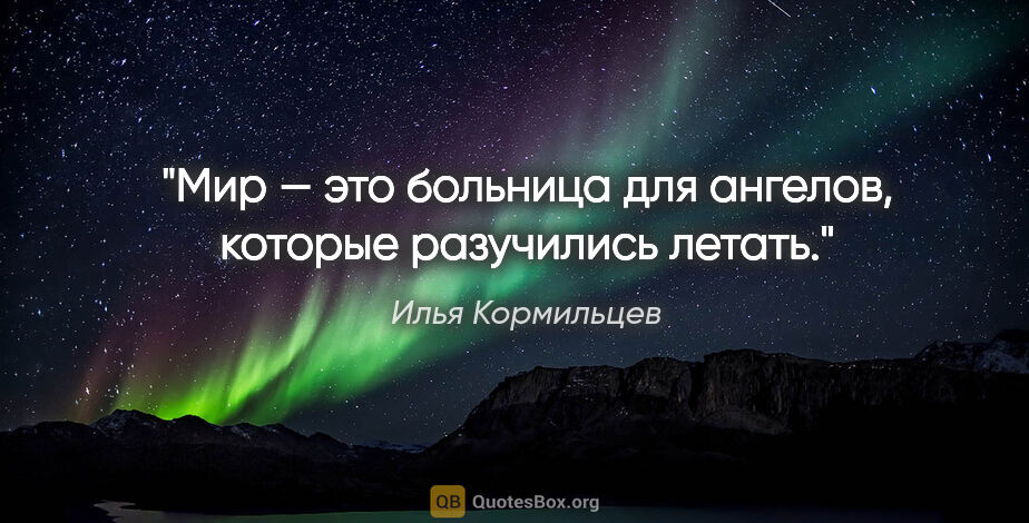 Илья Кормильцев цитата: "Мир — это больница для ангелов, которые разучились летать."
