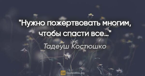 Тадеуш Костюшко цитата: "Нужно пожертвовать многим, чтобы спасти все…"