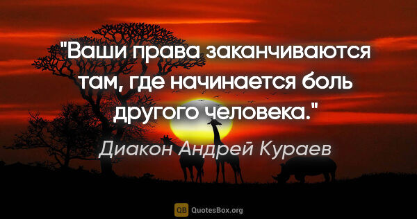 Диакон Андрей Кураев цитата: "Ваши права заканчиваются там, где начинается боль другого..."
