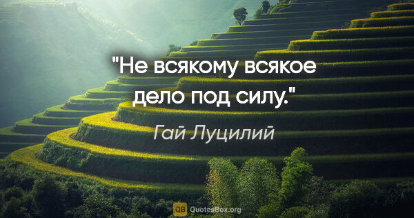 Гай Луцилий цитата: "Не всякому всякое дело под силу."