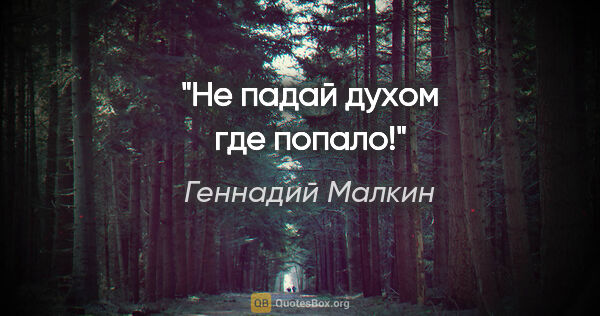 Геннадий Малкин цитата: "Не падай духом где попало!"