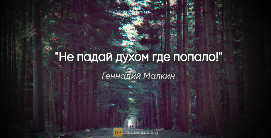Геннадий Малкин цитата: "Не падай духом где попало!"