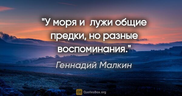 Геннадий Малкин цитата: "У моря и лужи общие предки, но разные воспоминания."