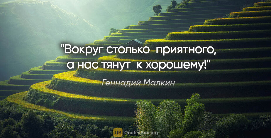 Геннадий Малкин цитата: "Вокруг столько  приятного, а нас тянут  к хорошему!"