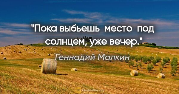 Геннадий Малкин цитата: "Пока выбьешь  место  под  солнцем, уже вечер."