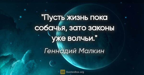 Геннадий Малкин цитата: "Пусть жизнь пока собачья, зато законы уже волчьи."