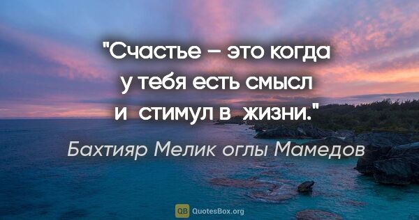 Бахтияр Мелик оглы Мамедов цитата: "Счастье – это когда у тебя есть смысл и стимул в жизни."