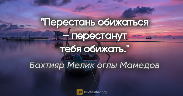 Бахтияр Мелик оглы Мамедов цитата: "Перестань обижаться – перестанут тебя обижать."