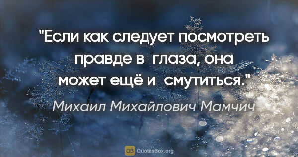 Михаил Михайлович Мамчич цитата: "Если как следует посмотреть правде в глаза, она может ещё..."
