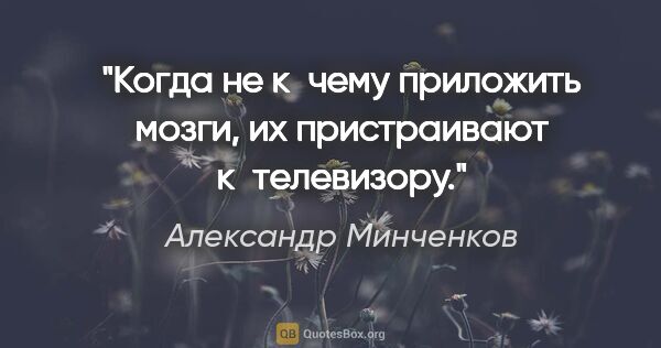 Александр Минченков цитата: "Когда не к чему приложить мозги, их пристраивают к телевизору."