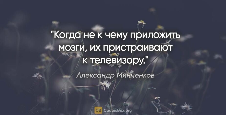 Александр Минченков цитата: "Когда не к чему приложить мозги, их пристраивают к телевизору."