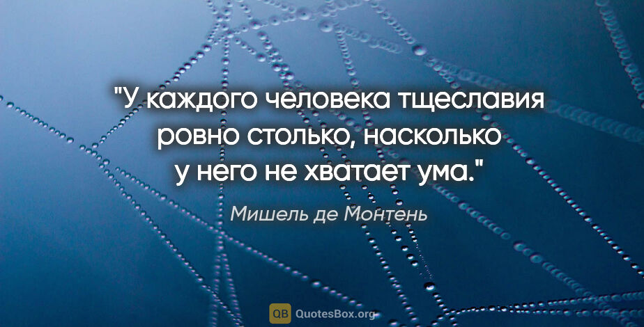Мишель де Монтень цитата: "У каждого человека тщеславия ровно столько, насколько у него..."