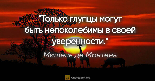 Мишель де Монтень цитата: "Только глупцы могут быть непоколебимы в своей уверенности."