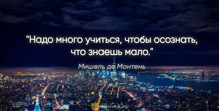 Мишель де Монтень цитата: "Надо много учиться, чтобы осознать, что знаешь мало."