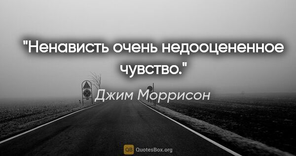 Джим Моррисон цитата: "Ненависть очень недооцененное чувство."