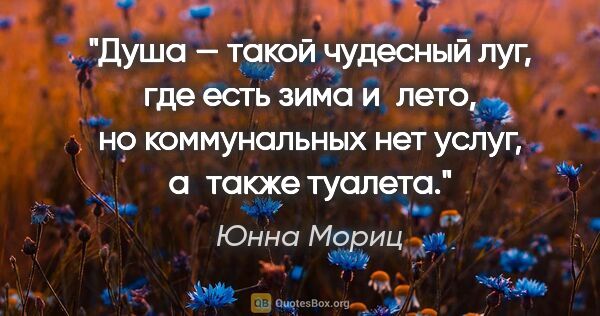 Юнна Мориц цитата: "Душа — такой чудесный луг,

где есть зима и лето,

но..."