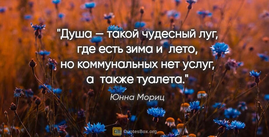 Юнна Мориц цитата: "Душа — такой чудесный луг,

где есть зима и лето,

но..."