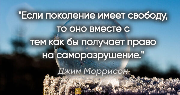 Джим Моррисон цитата: "Если поколение имеет свободу, то оно вместе с тем как бы..."