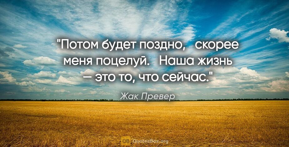 Жак Превер цитата: "Потом будет поздно,

  скорее меня поцелуй.

  Наша жизнь —..."