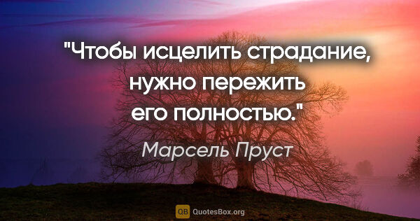 Марсель Пруст цитата: "Чтобы исцелить страдание, нужно пережить его полностью."