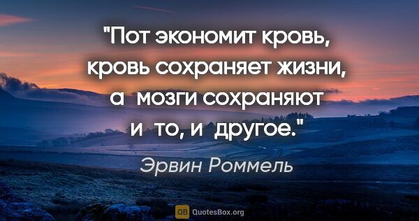 Эрвин Роммель цитата: "Пот экономит кровь, кровь сохраняет жизни, а мозги сохраняют..."