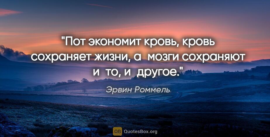 Эрвин Роммель цитата: "Пот экономит кровь, кровь сохраняет жизни, а мозги сохраняют..."