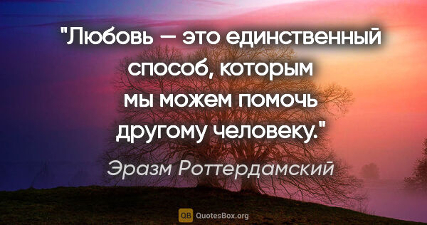 Эразм Роттердамский цитата: "Любовь — это единственный способ, которым мы можем помочь..."