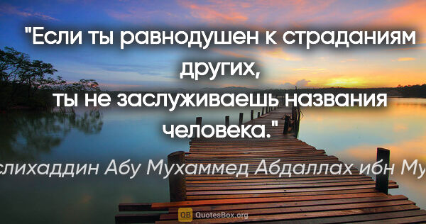 Саади (Муслихаддин Абу Мухаммед Абдаллах ибн Мушрифаддин) цитата: "Если ты равнодушен к страданиям других, ты не заслуживаешь..."