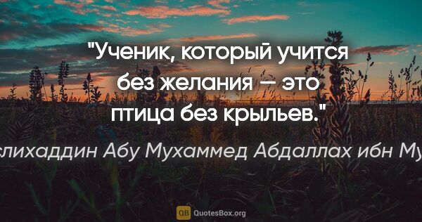 Саади (Муслихаддин Абу Мухаммед Абдаллах ибн Мушрифаддин) цитата: "Ученик, который учится без желания — это птица без крыльев."