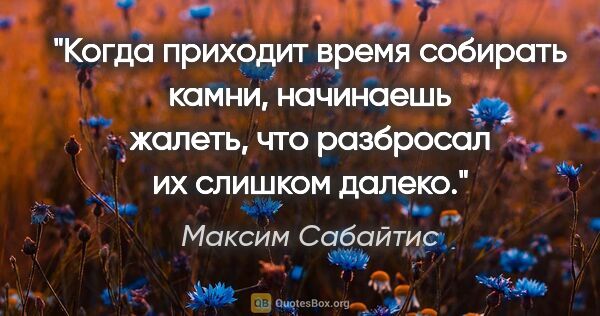 Максим Сабайтис цитата: "Когда приходит время собирать камни, начинаешь жалеть, что..."