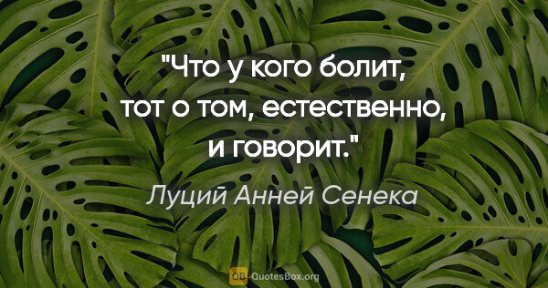 Луций Анней Сенека цитата: "Что у кого болит, тот о том, естественно, и говорит."