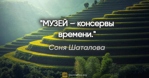 Соня Шаталова цитата: "МУЗЕЙ – консервы времени."