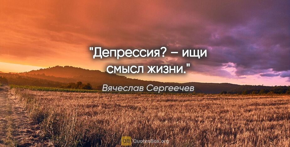 Вячеслав Сергеечев цитата: "Депрессия? – ищи смысл жизни."