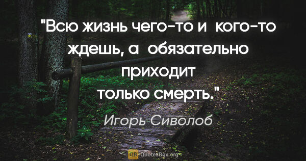Игорь Сиволоб цитата: "Всю жизнь чего-то и кого-то ждешь, а обязательно приходит..."
