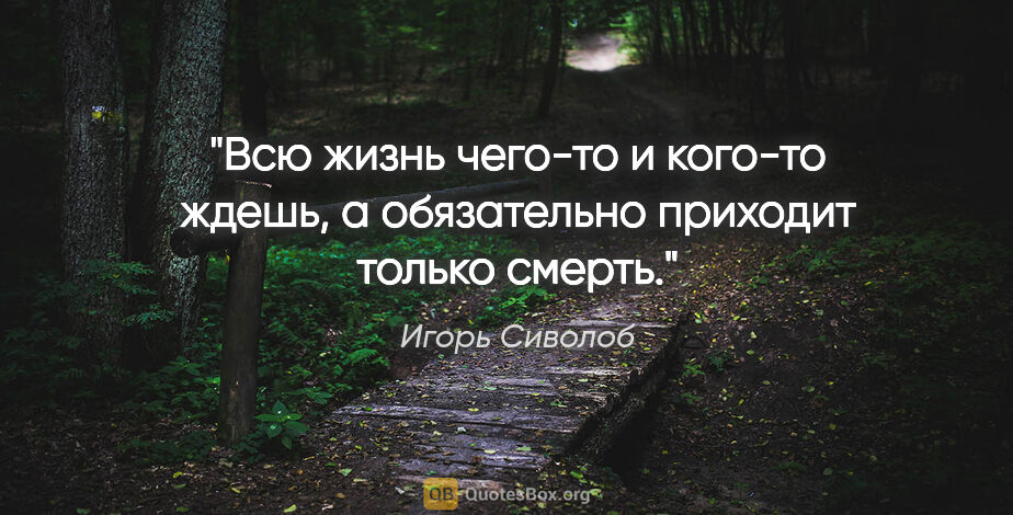 Игорь Сиволоб цитата: "Всю жизнь чего-то и кого-то ждешь, а обязательно приходит..."
