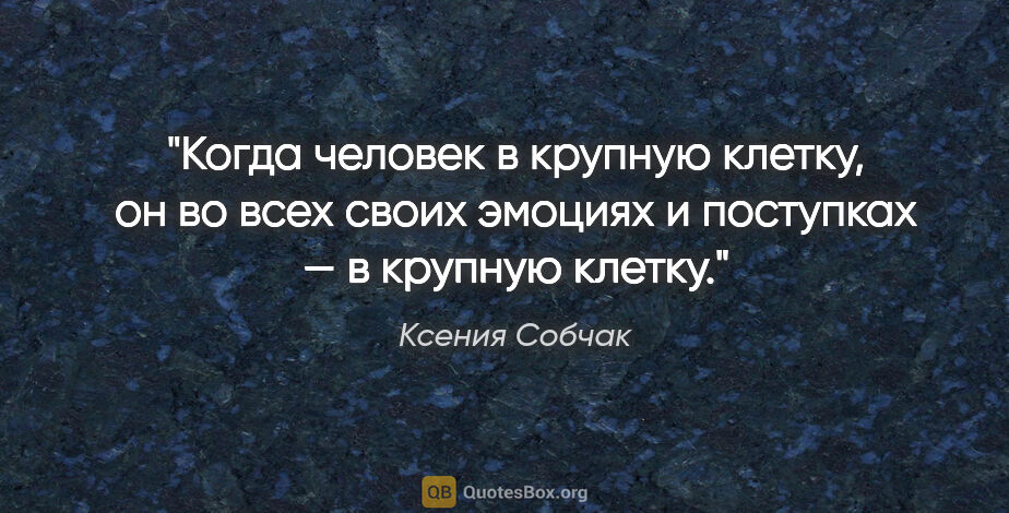 Ксения Собчак цитата: "Когда человек «в крупную клетку», он во всех своих эмоциях..."