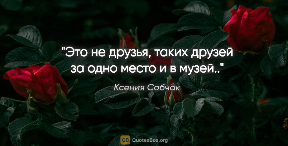 Ксения Собчак цитата: "Это не друзья, таких друзей за одно место и в музей.."
