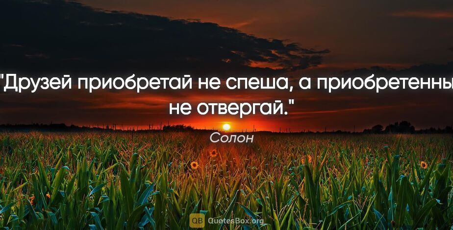 Солон цитата: "Друзей приобретай не спеша, а приобретенных не отвергай."