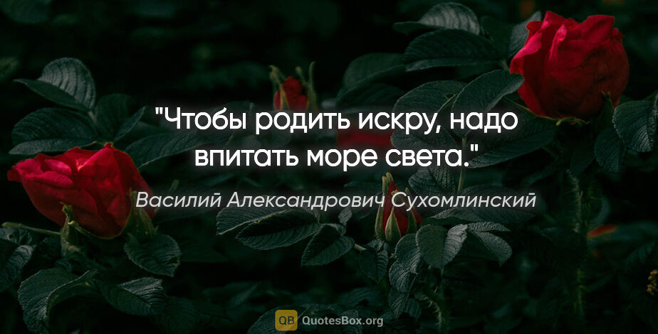 Василий Александрович Сухомлинский цитата: "Чтобы родить искру, надо впитать море света."