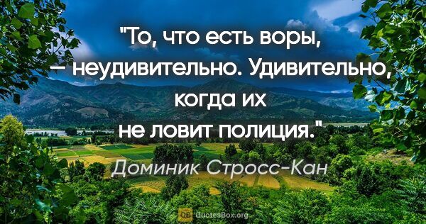 Доминик Стросс-Кан цитата: "То, что есть воры, — неудивительно. Удивительно, когда их не..."