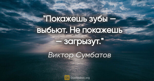 Виктор Сумбатов цитата: "Покажешь зубы — выбьют. Не покажешь — загрызут."