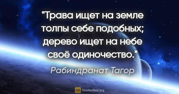 Рабиндранат Тагор цитата: "Трава ищет на земле толпы себе подобных; дерево ищет на небе..."