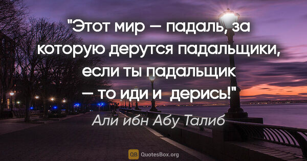 Али ибн Абу Талиб цитата: "Этот мир — падаль, за которую дерутся падальщики, если ты..."