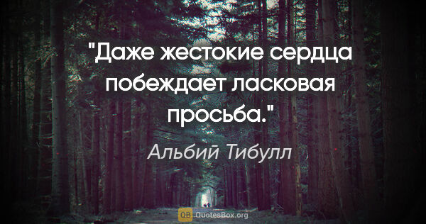 Альбий Тибулл цитата: "Даже жестокие сердца побеждает ласковая просьба."