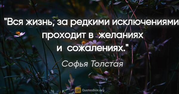 Софья Толстая цитата: "Вся жизнь, за редкими исключениями, проходит в желаниях..."