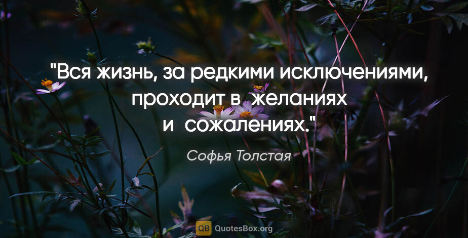 Софья Толстая цитата: "Вся жизнь, за редкими исключениями, проходит в желаниях..."