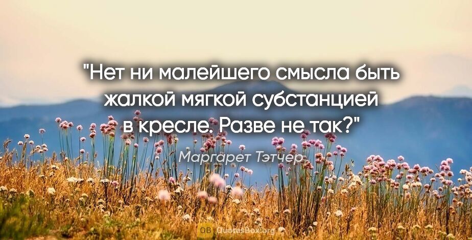 Маргарет Тэтчер цитата: "Нет ни малейшего смысла быть жалкой мягкой субстанцией..."